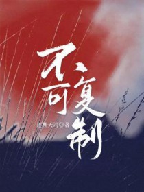 不可复制的上市公司